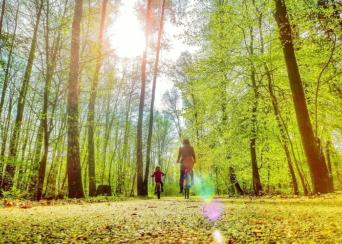 Tatil Evi Bungis - 28 Ferienhaeuser Am Grimnitzsee G3